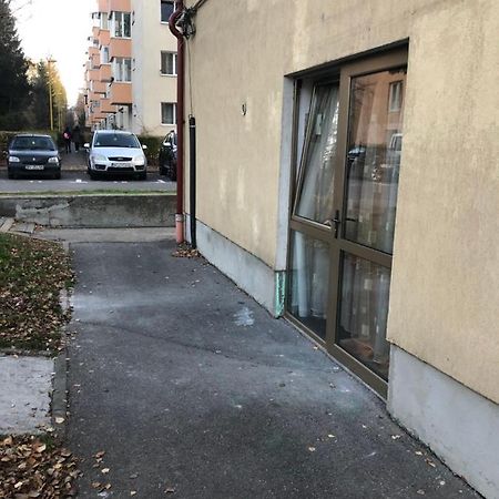 Gaby Studio Brasov Exterior photo