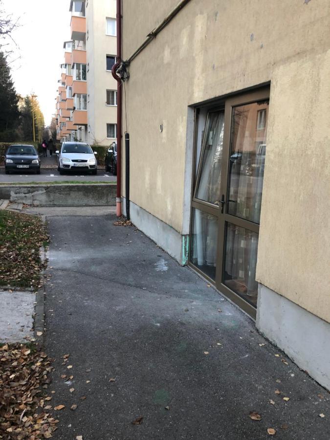 Gaby Studio Brasov Exterior photo